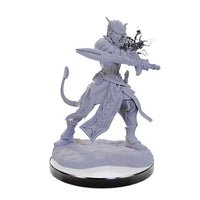 D&D Nolzur's Marvelous Minis: Wave 22- Tiefling Warlocks