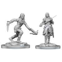 D&D Minis: Wave 17- Half-Elf Rogue Female