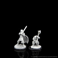 Critical Role Unpainted Miniatures: Wave 2- Westruun Militia Swordsman & Kraghammer Axeman