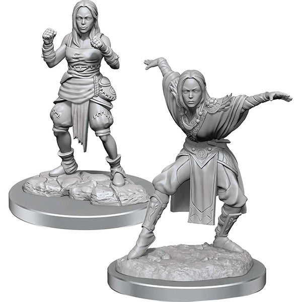 Pathfinder Minis: Deep Cuts Wave 21- Half-Elf Monk Females