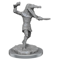 D&D Nolzur's Marvelous Minis: Wave 21- Mummies