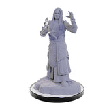 D&D Nolzur's Marvelous Minis: Wave 22- Elf Wizards