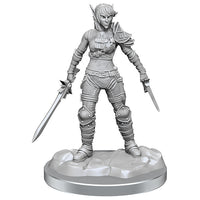 D&D Nolzur's Marvelous Minis: Wave 19- Elf Rogue & Half-Elf Rogue Protégé