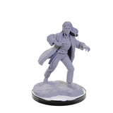 D&D Nolzur's Marvelous Minis: Wave 22- Reborn Paladin & Reborn Warlock