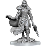 D&D Nolzur's Marvelous Minis: Wave 20- Orc Fighter Female