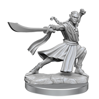 D&D Frameworks: Wave 1- Elf Monk Male