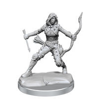 D&D Frameworks: Wave 1- Human Rogue Female