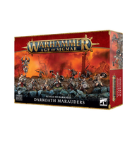 Warhammer Age of Sigmar: Slaves to Darkness- DARKOATH MARAUDERS