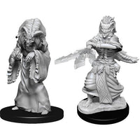 D&D Minis: Wave 14- Night Hag & Dusk Hag